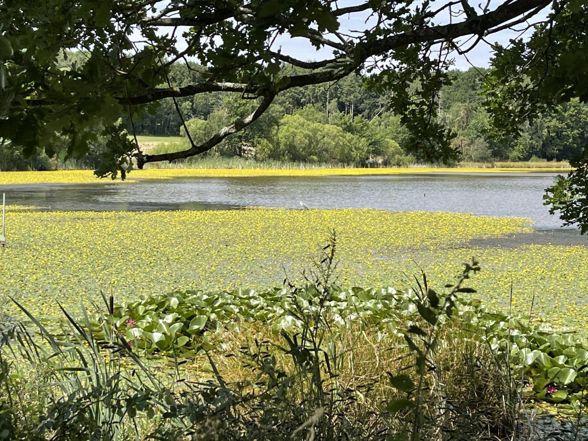 Landhotel Maarheide Niederdürenbach Esterno foto